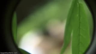 Vérifiez votre âge