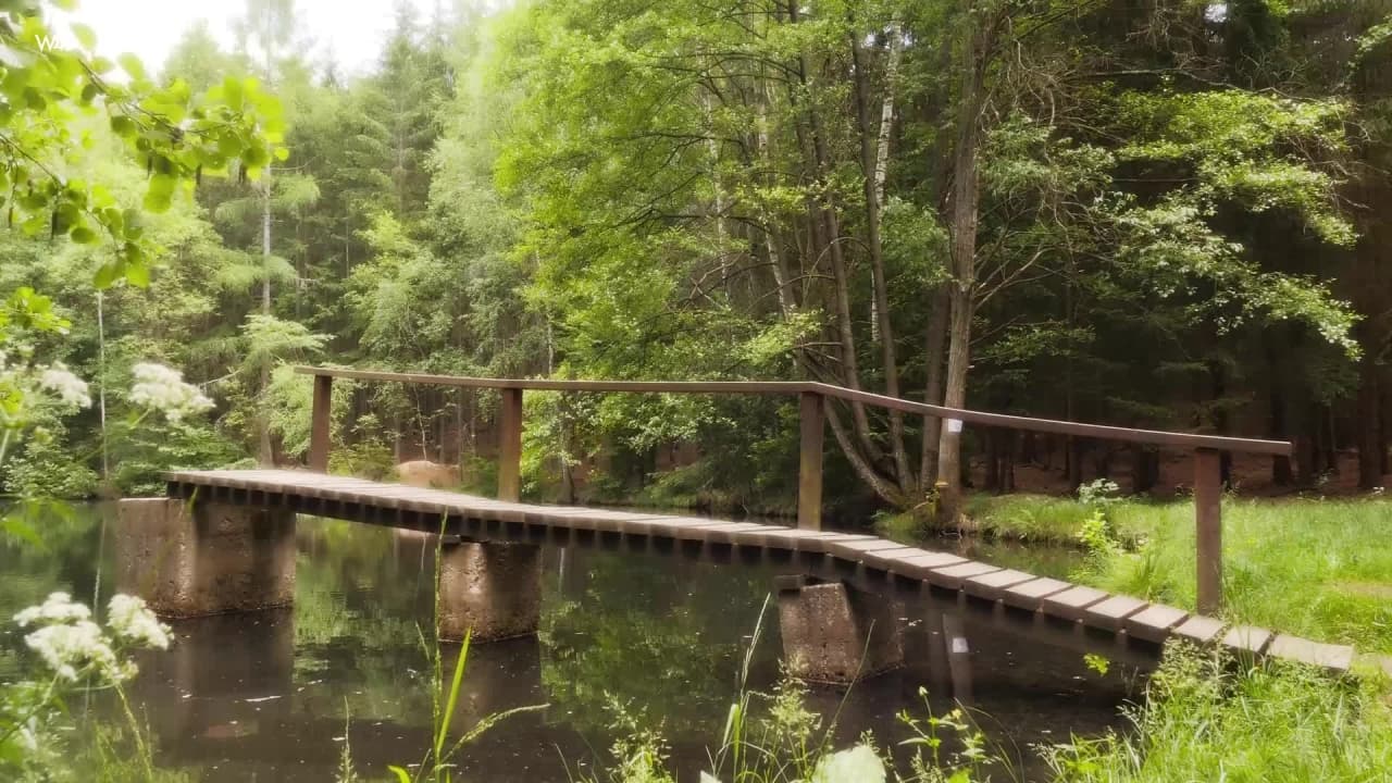 Vérifiez votre âge