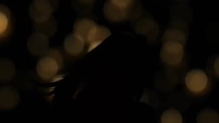 Mila Fox et Kathy Anderson s’adonnent à un rêve lesbien !