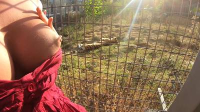 Une cochonne exhibe ses nichons en public